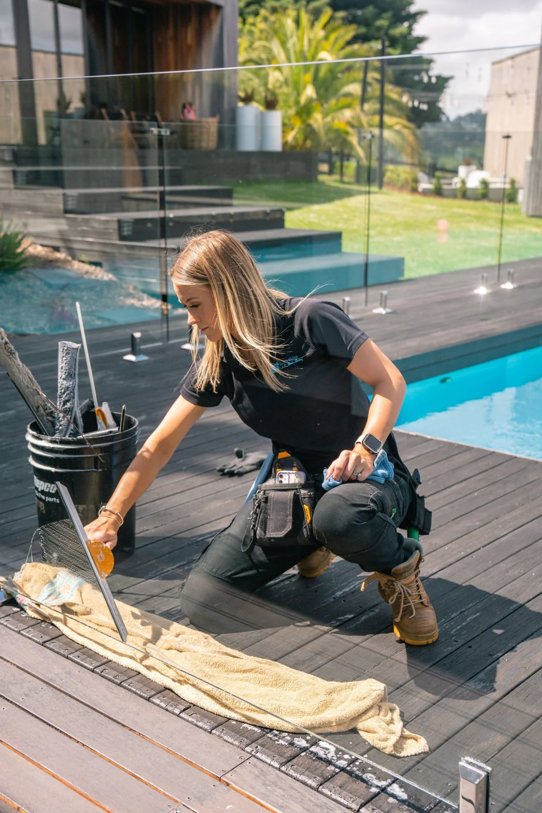 Professional Window Cleaner